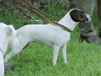 Conny bei der JP 2005