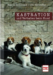 Kastration und Verhalten beim Hund