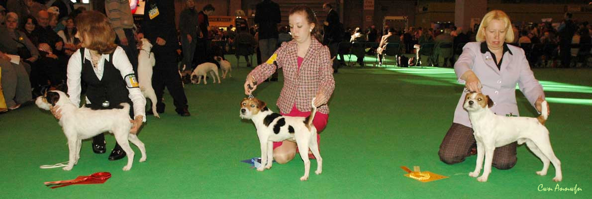 DSC_3470_yearling dog 1-3