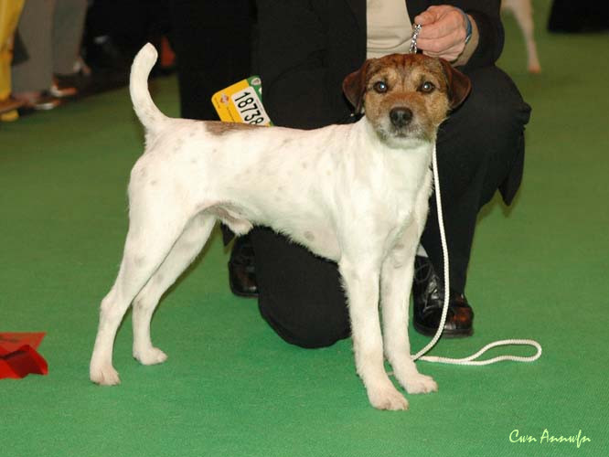 DSC_3486_rhymshott strider