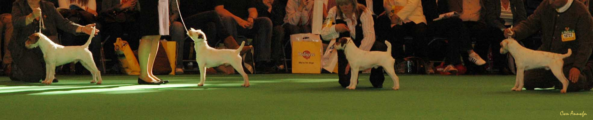 DSC_3498_danscans frederik_alexie de la roche turpin_afinlea roadside skipper_adhoc de la petite noisette