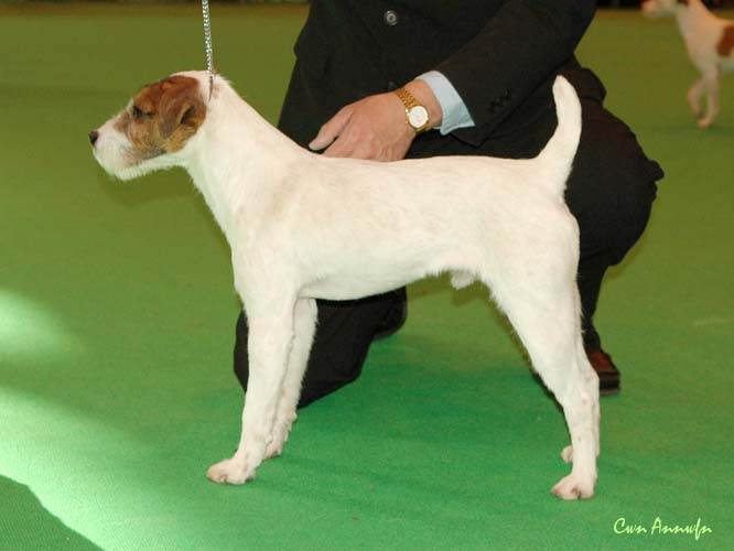 DSC_3504_gonetoground rockn robin