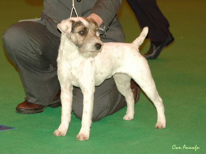 DSC_3517_alncroft everlong