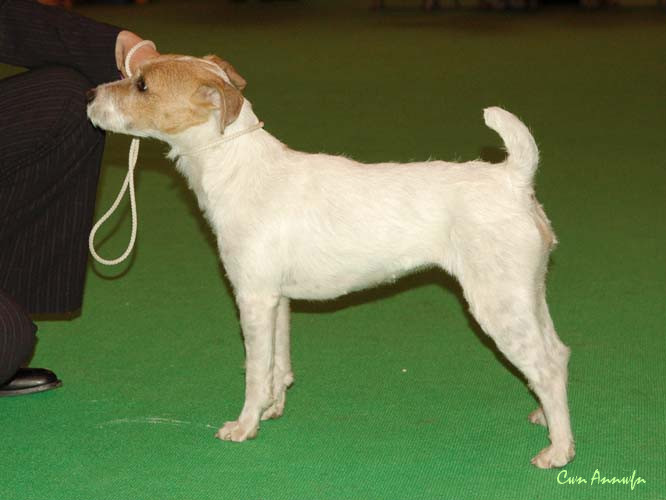 DSC_3529_pacolito xpectations