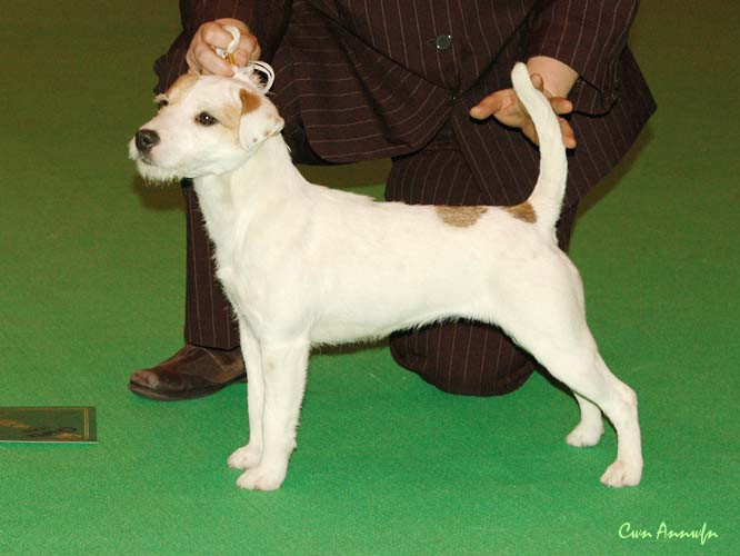 DSC_3531_franfine of lovealoch