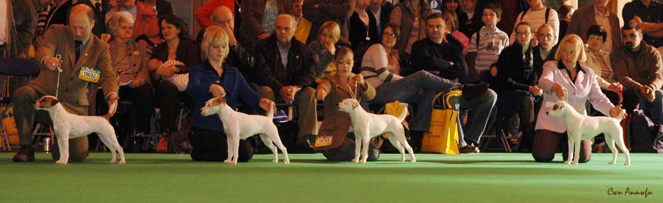 DSC_3537_pacolito xsquisite at windynook_pacolito phlirt_rutaaro white witch_pacolito picturesque