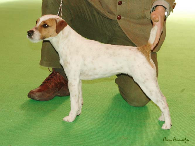 DSC_3538_pacolito xsquisite at windynook