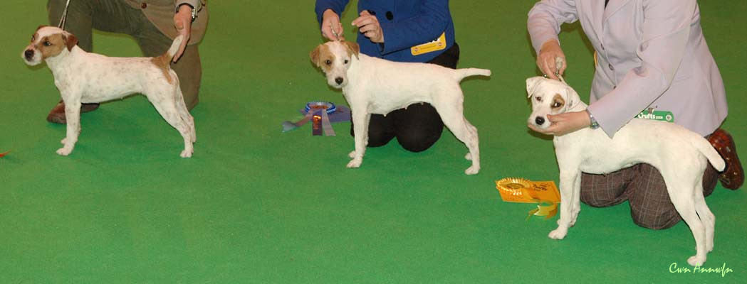 DSC_3543_post graduate bitch 1-3