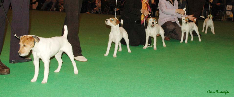 DSC_3549_limit bitch 1-5