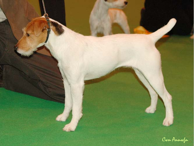 DSC_3550_middlemoss the only one