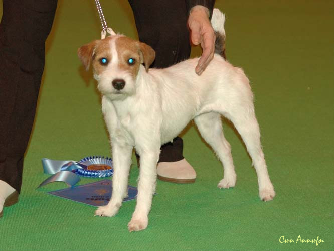 DSC_3551_pacolito premonition at kannye