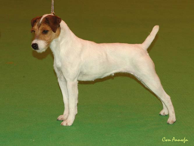 DSC_3557_miss teeq of andralok