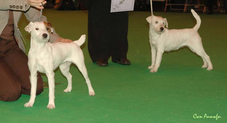 DSC_3562_open bitch 4 5