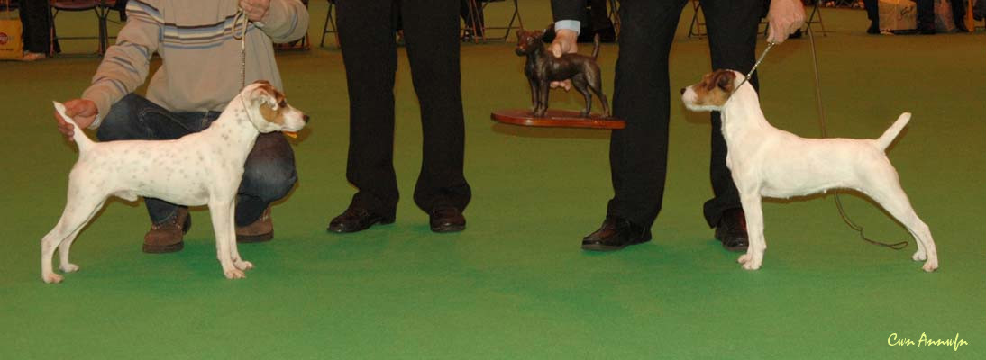 DSC_3580_pacolito spunky monkey_miss teeq of andralok