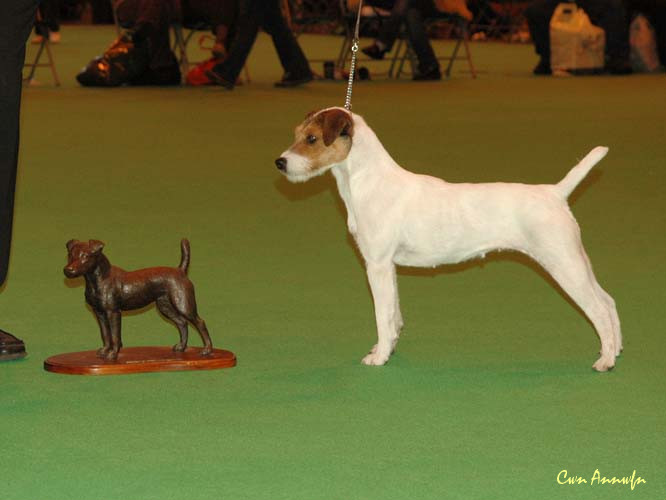 DSC_3582_BOB-bitchCC miss teeq of andralok