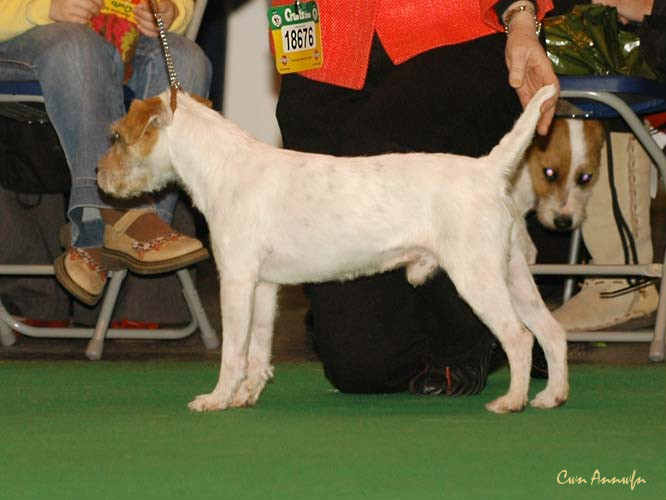 DSC_6073_holdobur one to mark at hoolmark