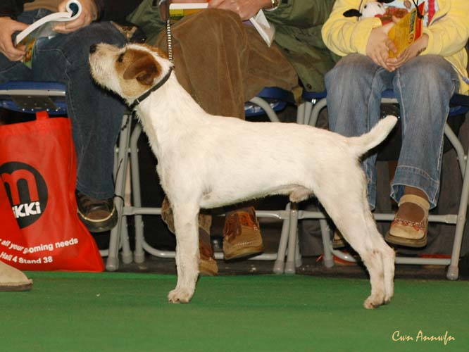 DSC_6081_alncroft hemlock of morgandare