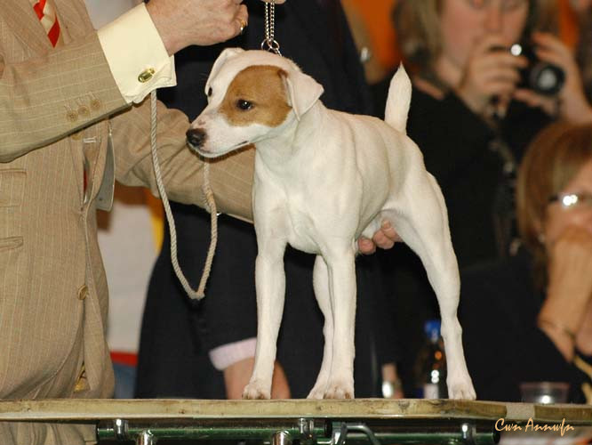 DSC_6095_moonreapers billy bones