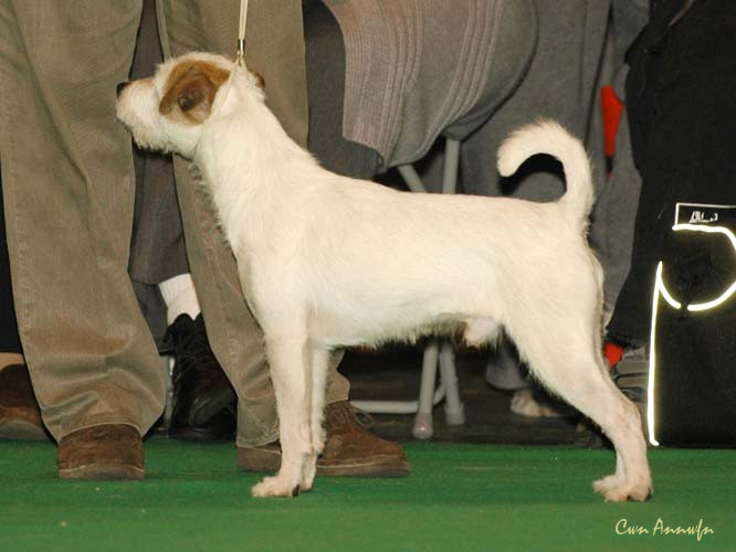 DSC_6096_cleevehill fullmonty