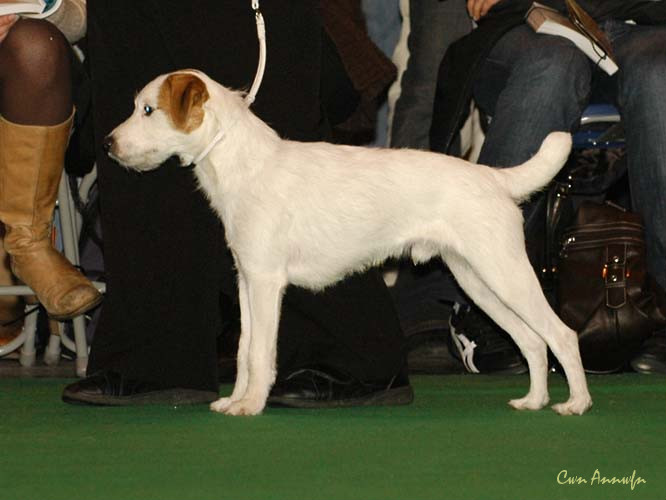 DSC_6099_gonetoground morse code