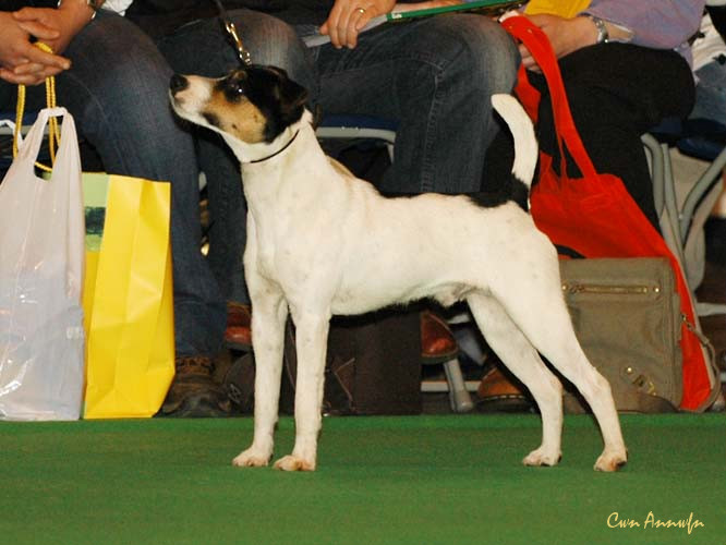 DSC_6103_foxwarren boy otto