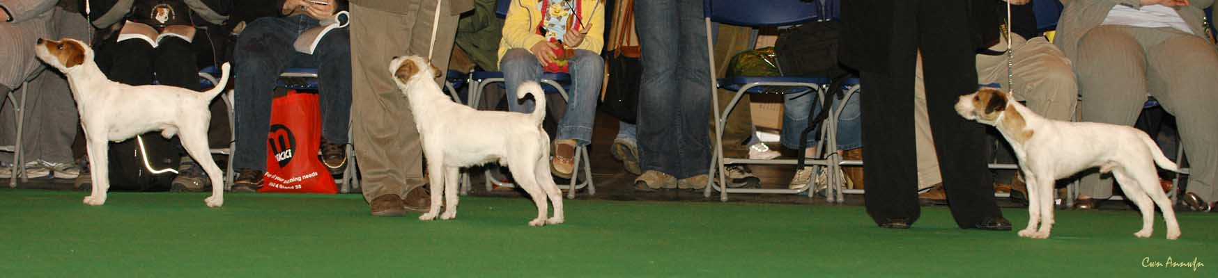 DSC_6104_rhymshott uno-able_cleevehill fullmonty_suzans pride forever