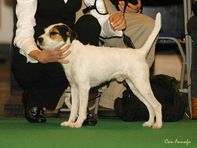 DSC_6109_finley of lovealoch