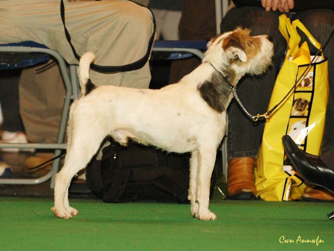 DSC_6111_foxwarren buddy