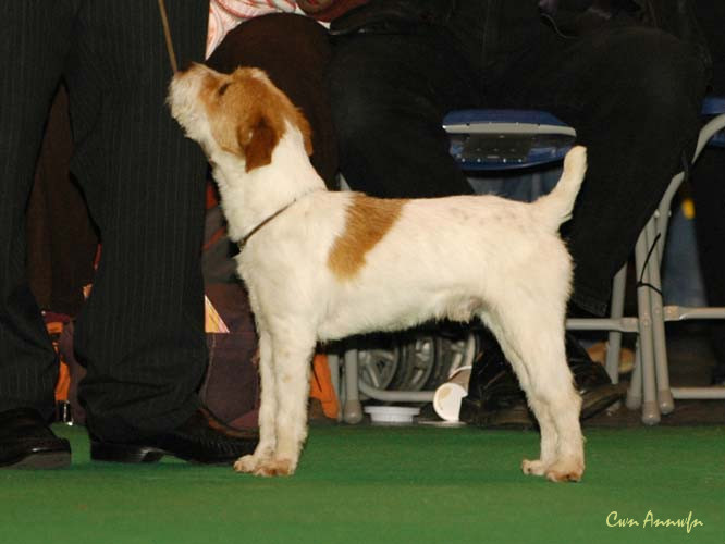 DSC_6114_ruffntuff camparay