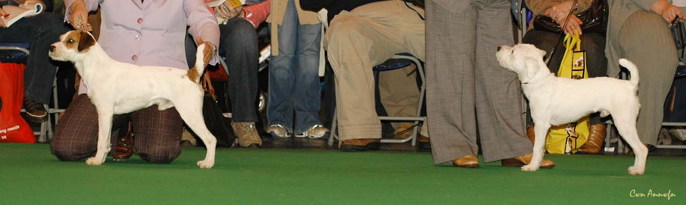 DSC_6115_pacolito walteezer_ammanday attraction under blueroof