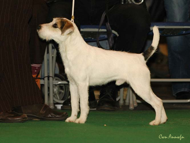 DSC_6121_enrique of lovealoch