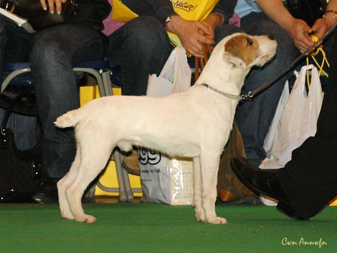 DSC_6129_matsstars midnight miracle