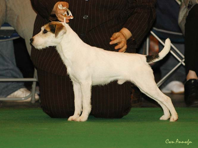 DSC_6132_enrique of lovealoch