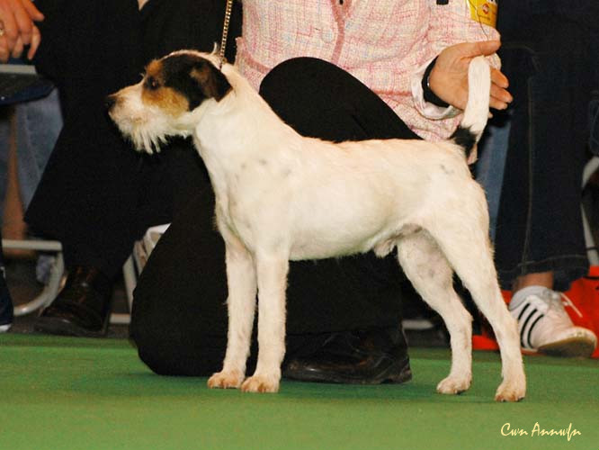 DSC_6136_foxwarren trouble