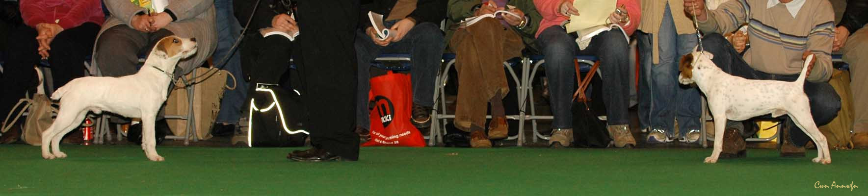 DSC_6138_matsstars midnight miracle_pacolito spunky monkey