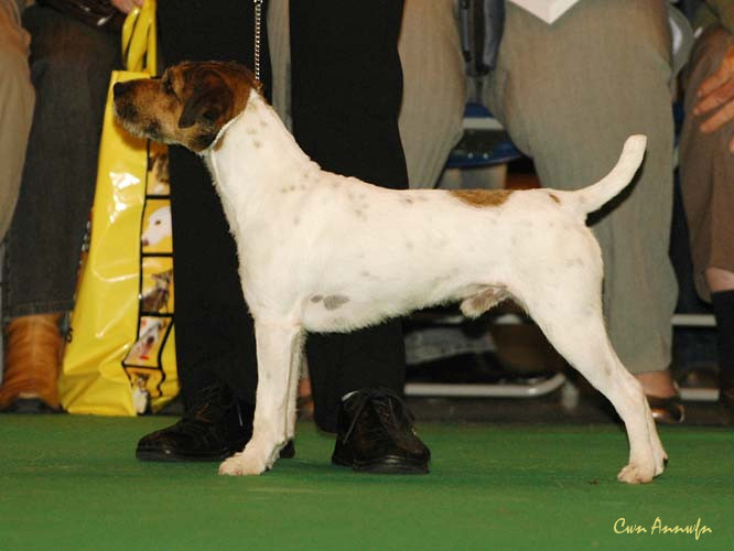 DSC_6139_rhymshott strider