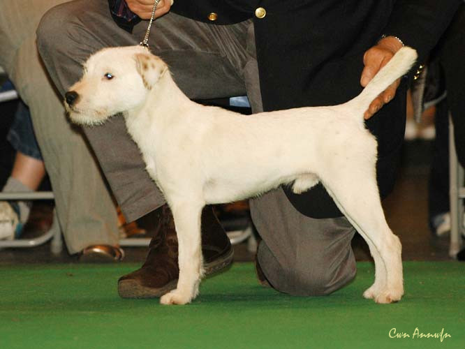 DSC_6144_bradpole blanc de blancs