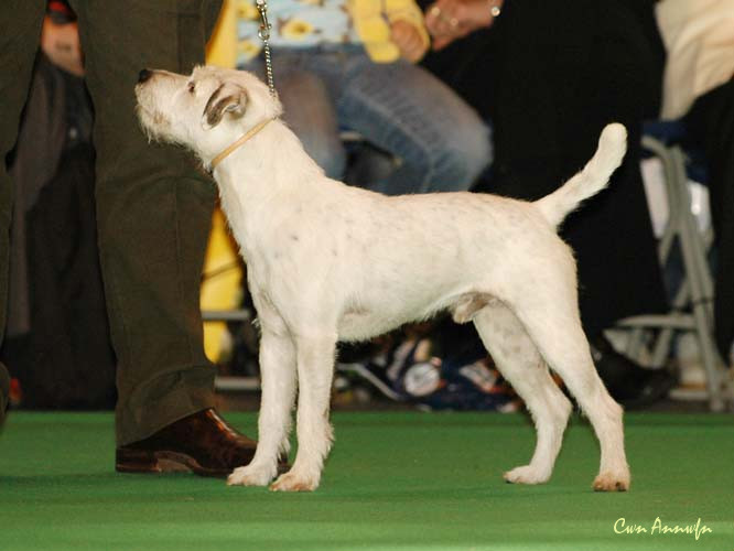 DSC_6148_moonreapers spectre of boldrunner