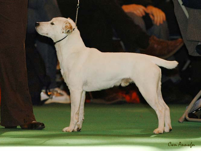 DSC_6151_gudaljara no marks