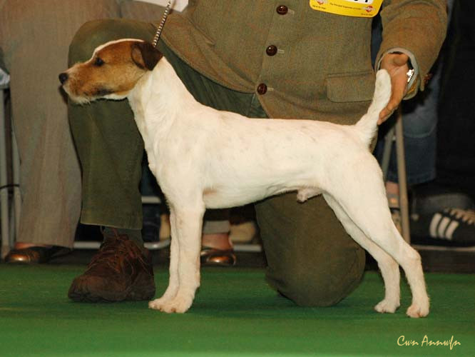 DSC_6152_windynook jeckyl or hide