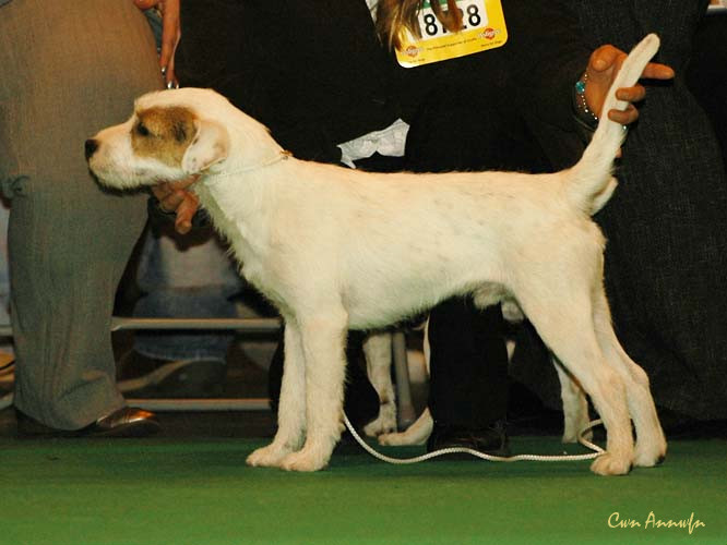 DSC_6155_eddie of lovealoch