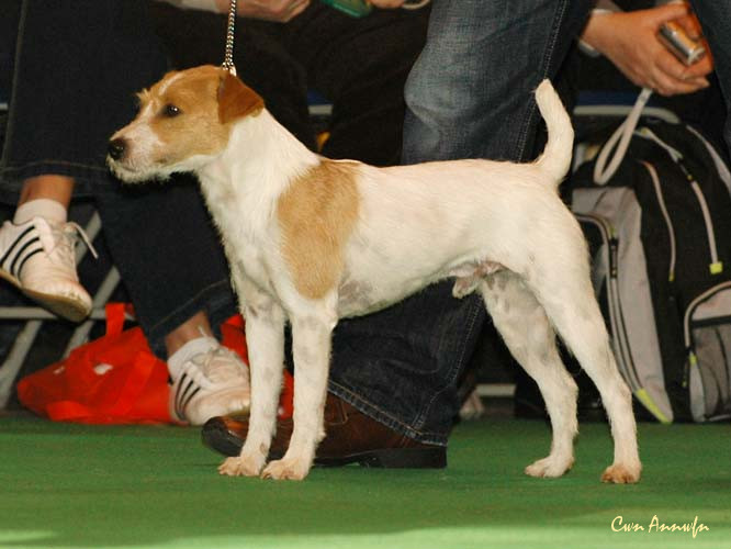 DSC_6160_olesenstar vesper bell at ammanday