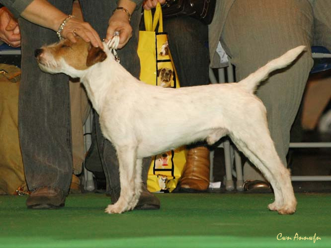 DSC_6164_danscans frederik