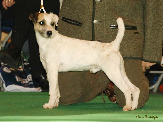 DSC_6166_adhoc de la petite noisette