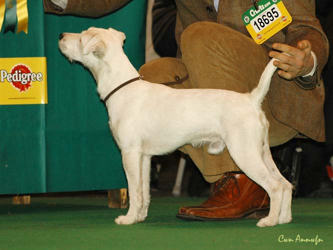 DSC_6167_claremorris oberon