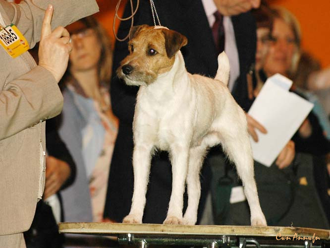 DSC_6175_howlbeck who-uno at neelan