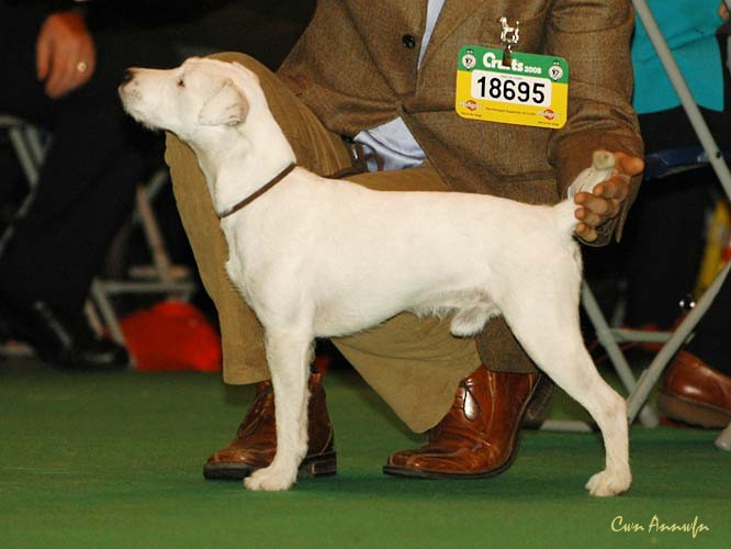 DSC_6180_claremorris oberon