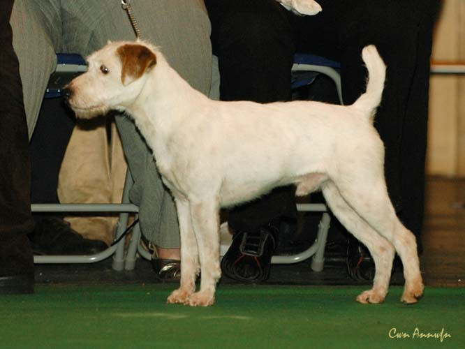 DSC_6182_posey canyon jim dandy