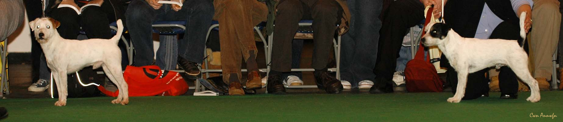 DSC_6184_posey canyon jim dandy_ewoks star adam cooper