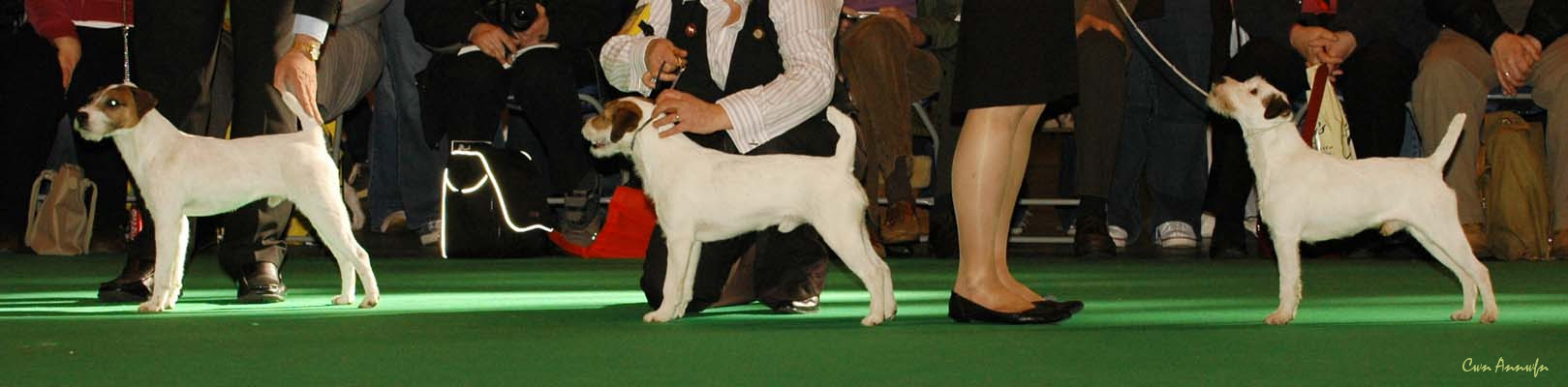 DSC_6199_gonetoground rockn robin_afinlea roadside skipper_alexie de la roche turpin